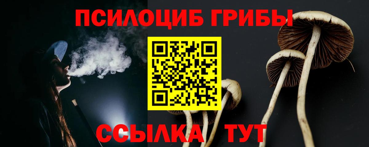 Галлюциногенные грибы мухоморы Асбест